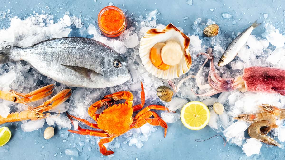 Fish and seafood overhead panoramic shot. 