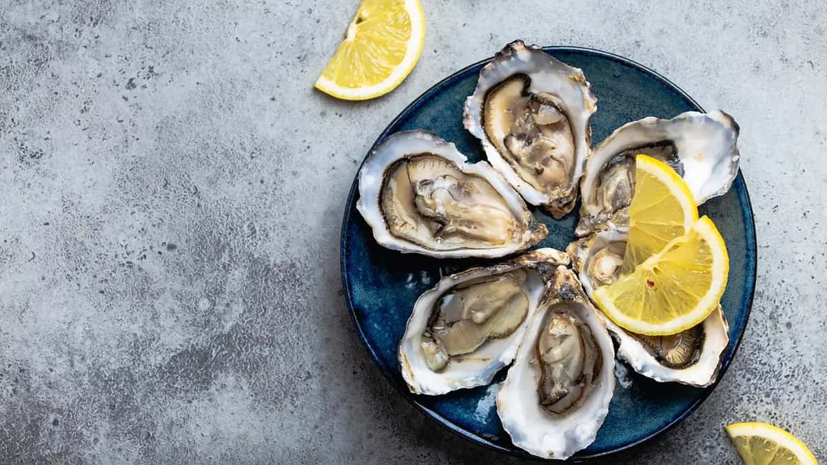 Fresh opened oysters