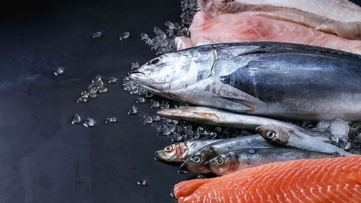 A variety of fresh fish.
