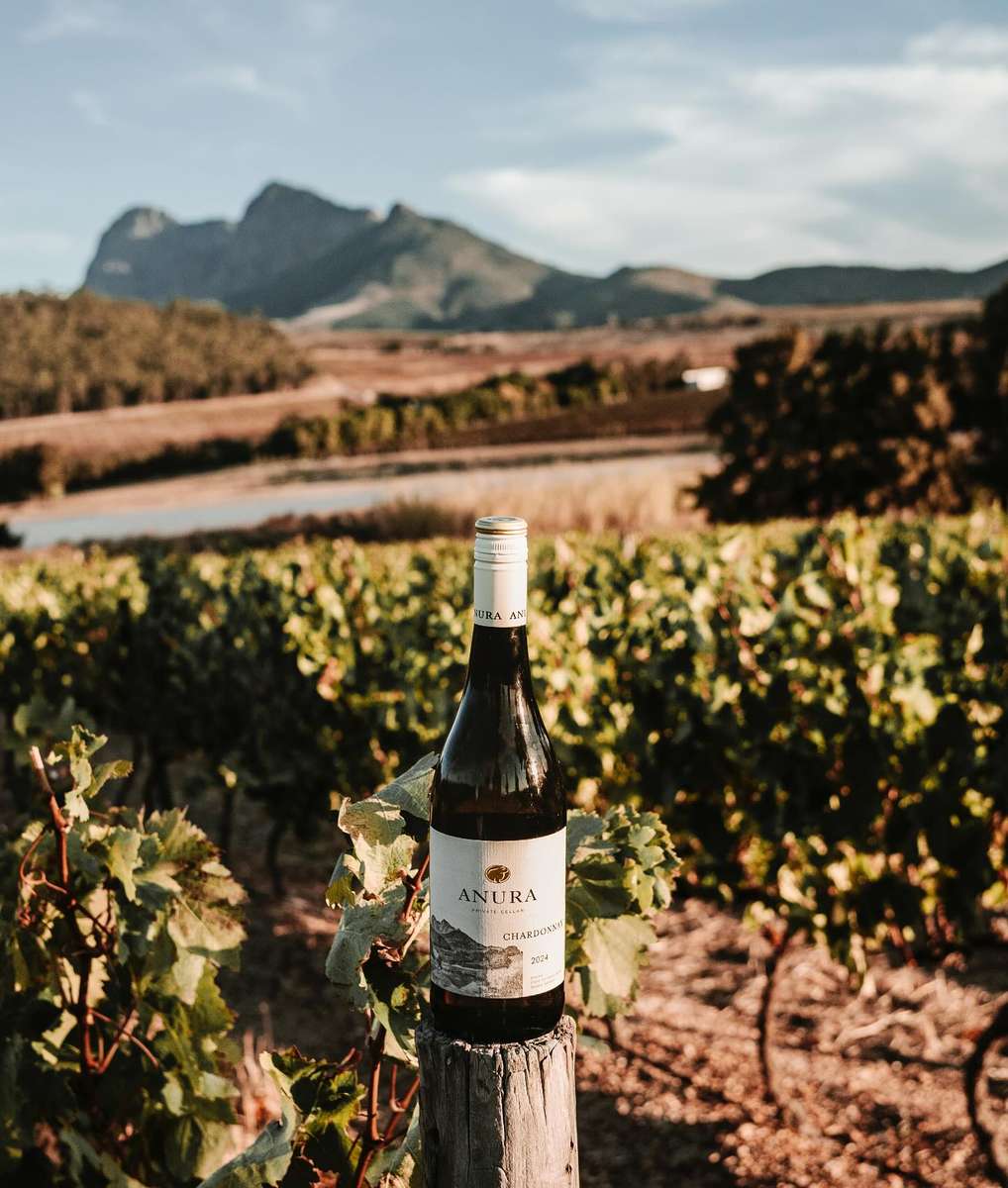 Anura Wines