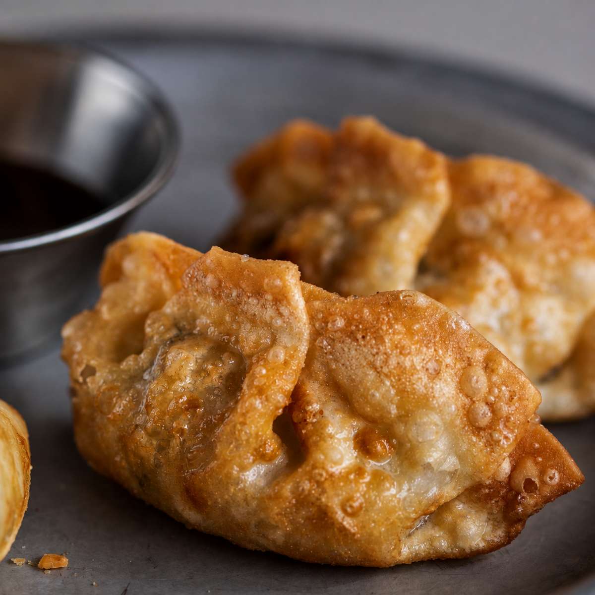 Crunchy Chicken Potstickers (3)