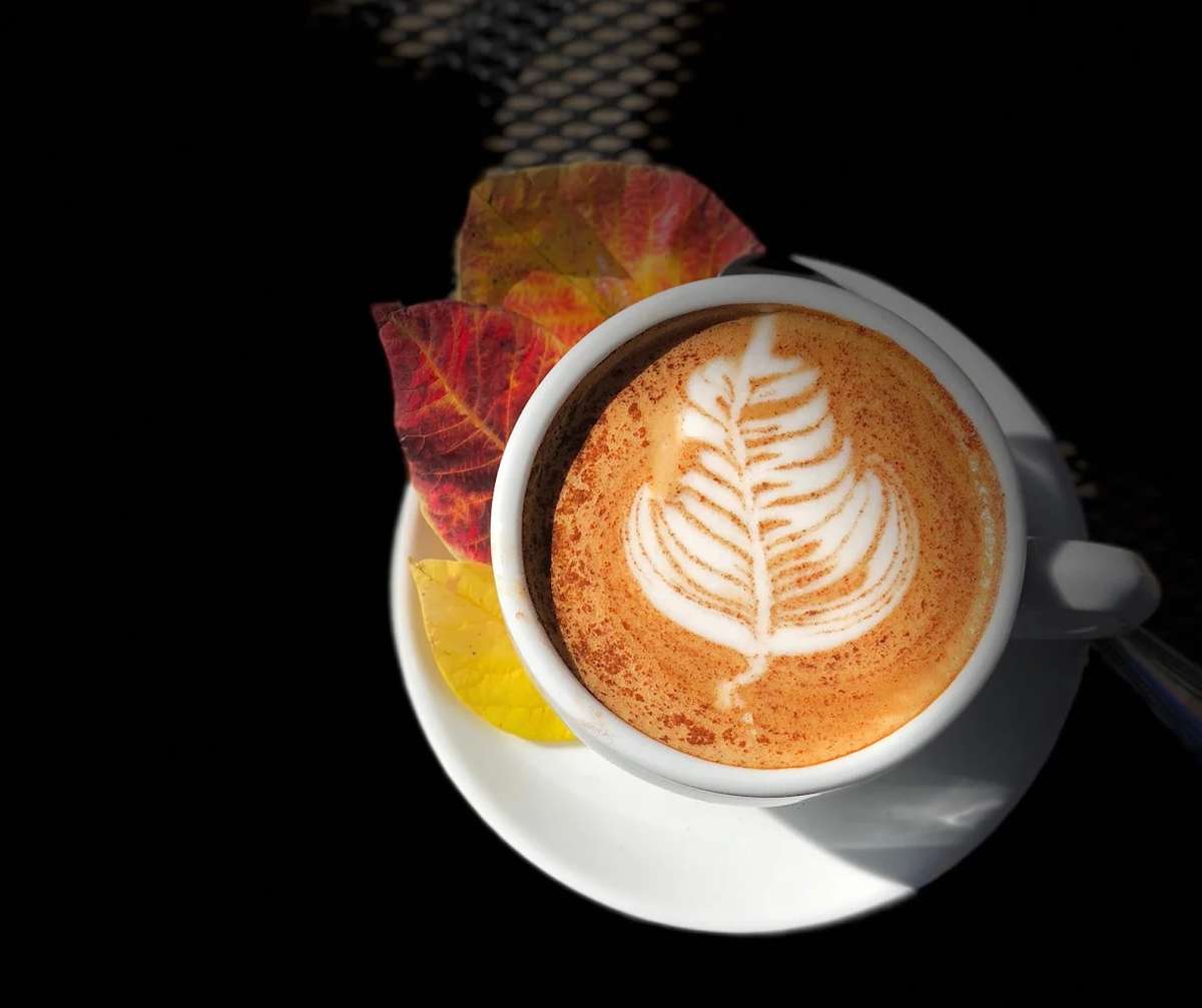 Coffee