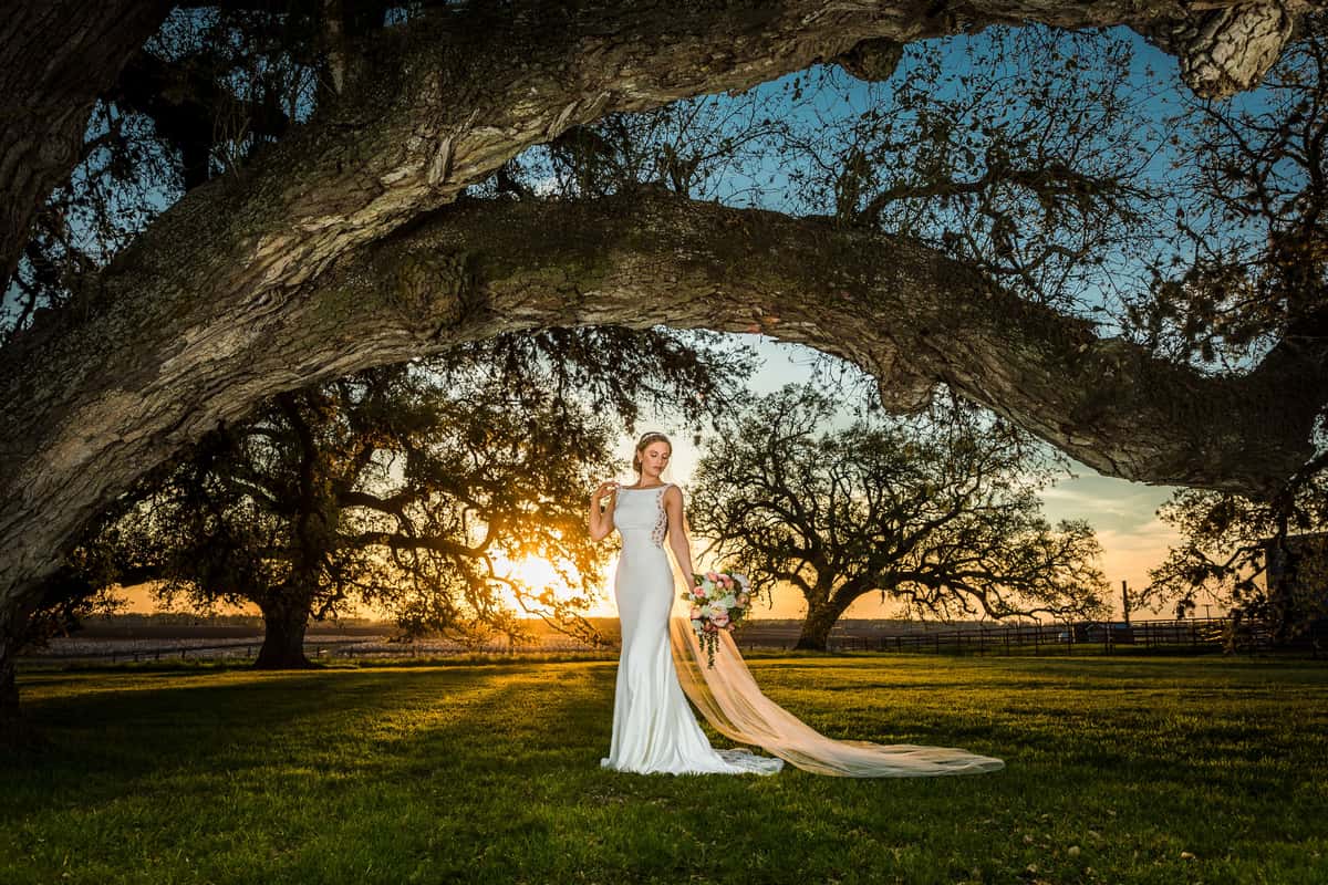 bride under tree