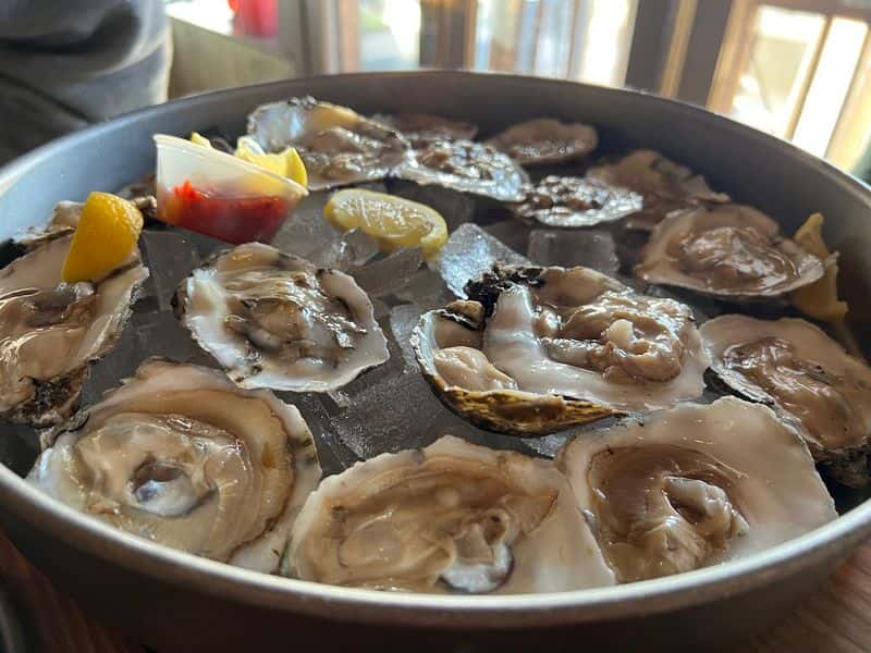 Oysters in Carolina Beach