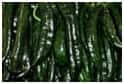 CHILACA & PASILLA GREEN CHILES