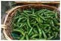 SERRANO & JALAPEÑO