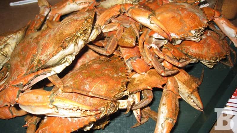 Backfins Crabhouse