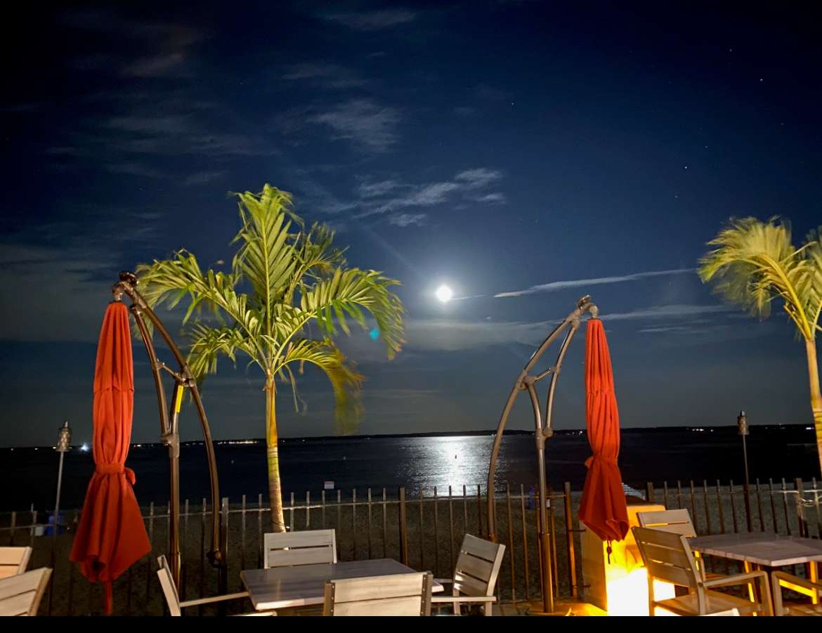 Moonlit beachfront patio with palm trees, closed red umbrellas, and outdoor tables overlooking calm water and moon reflection.