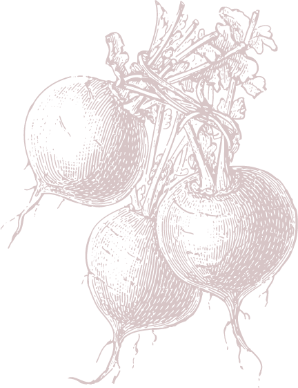 Beets