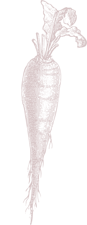 Carrot