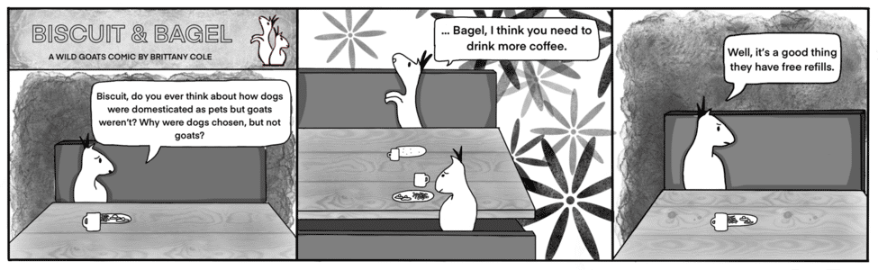 Biscuit and Bagel comic strip 