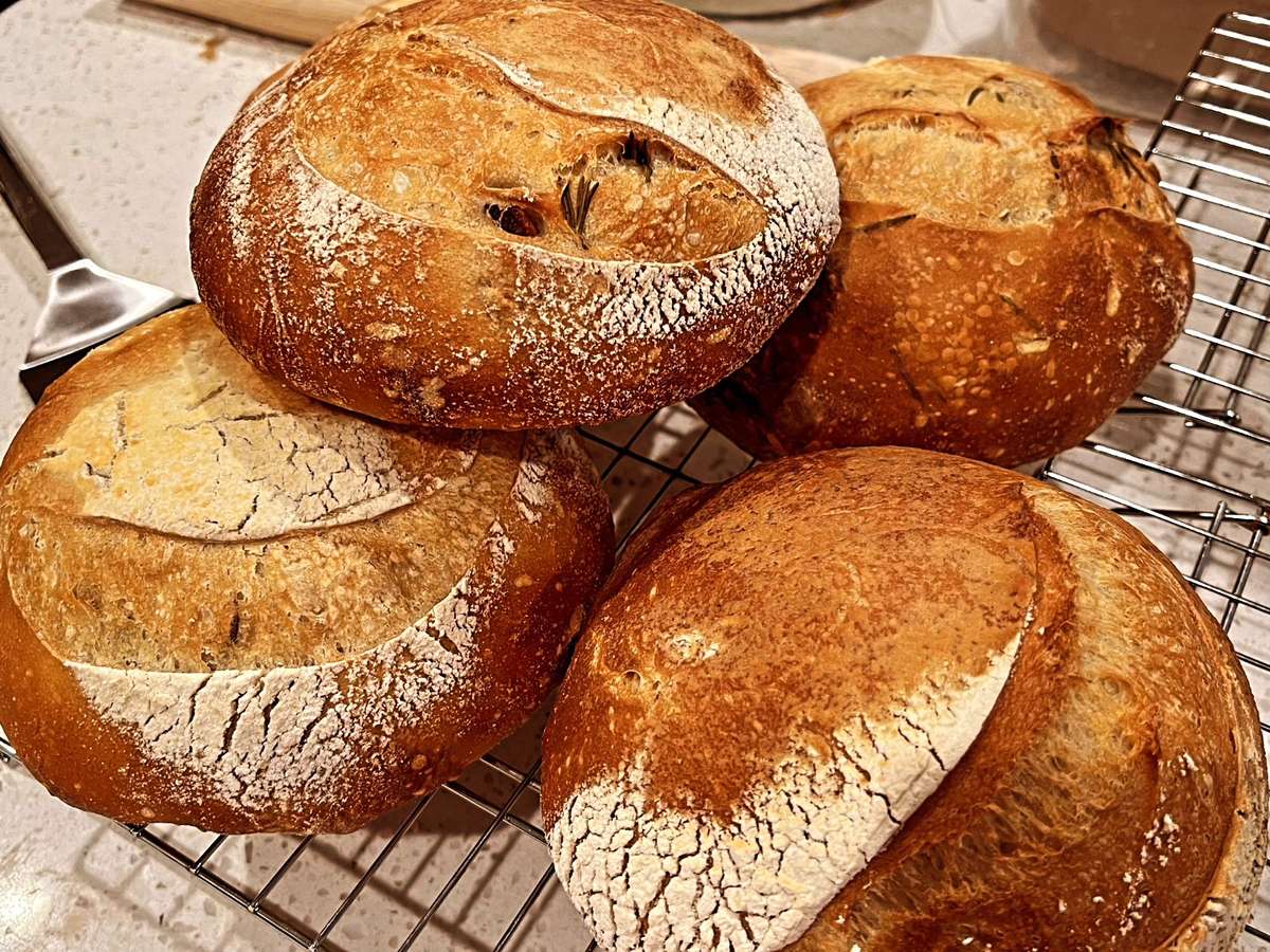 bread rolls