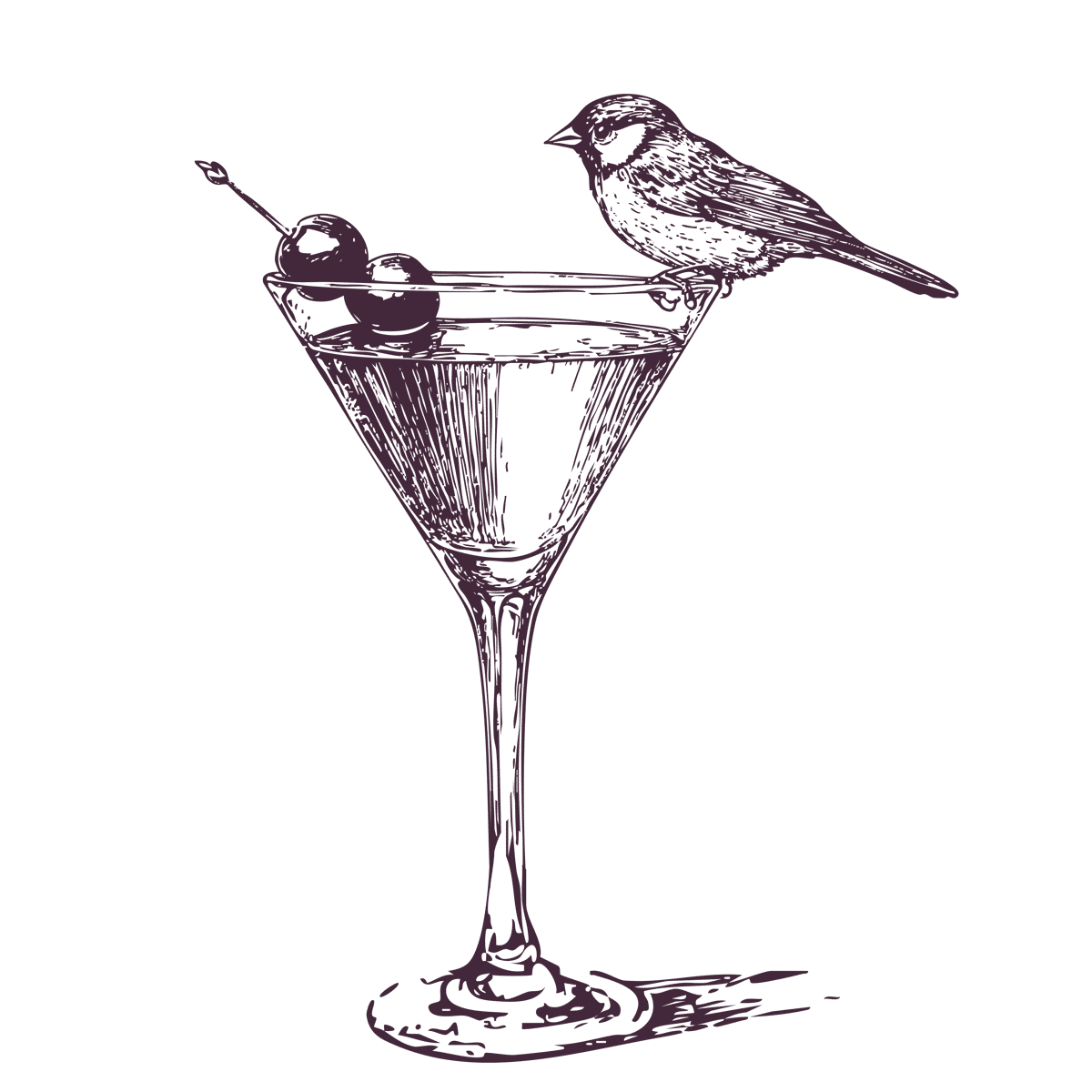 Finch on a martini glass sketch