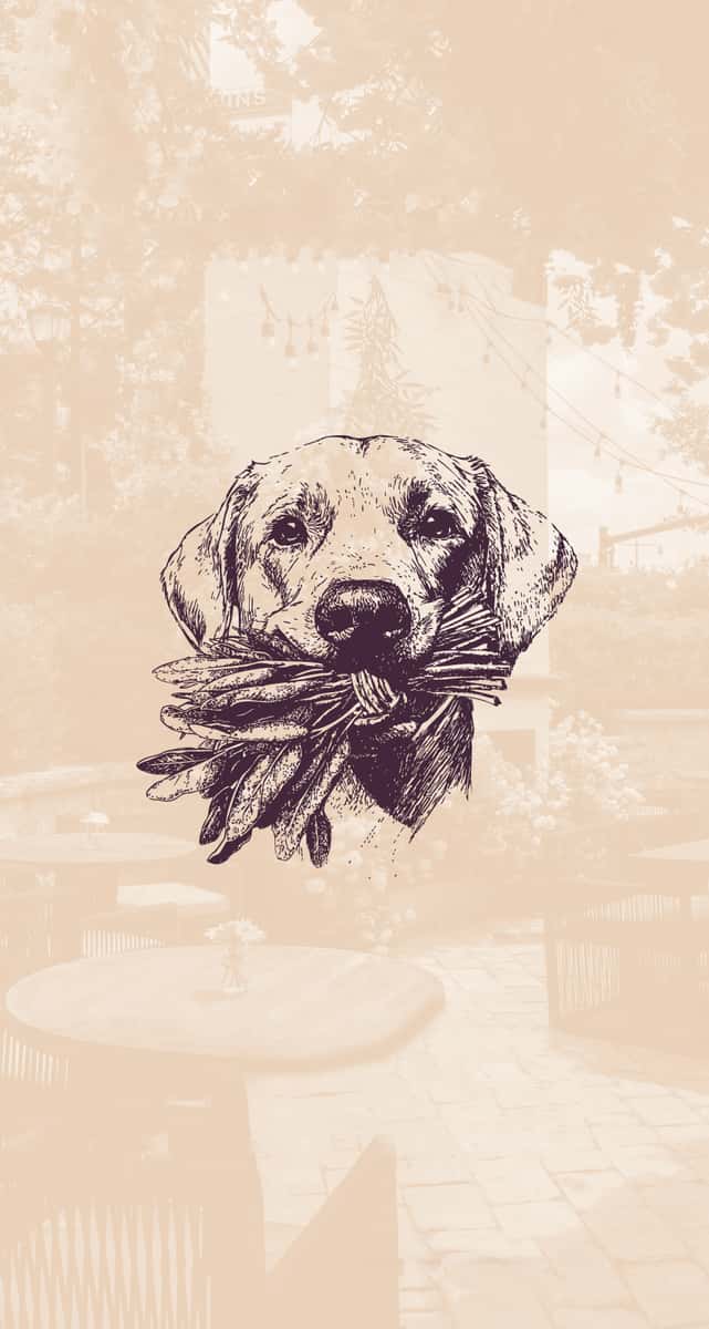 Paws on the Patio