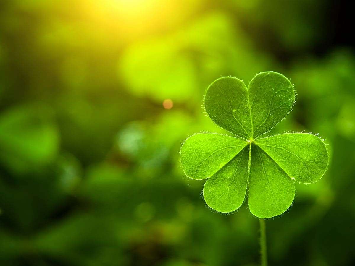 St pats