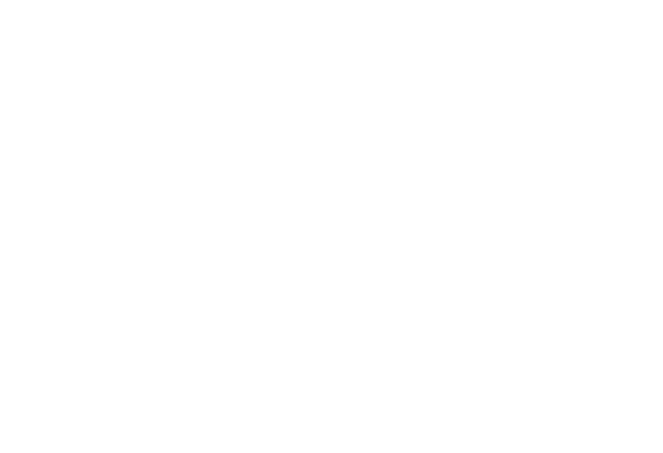 The Wild Goose