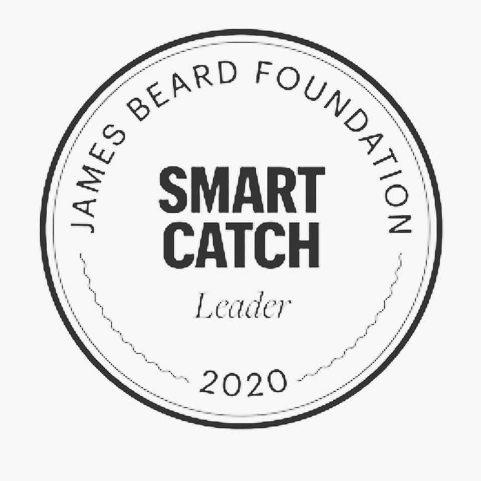 smart catch 2020