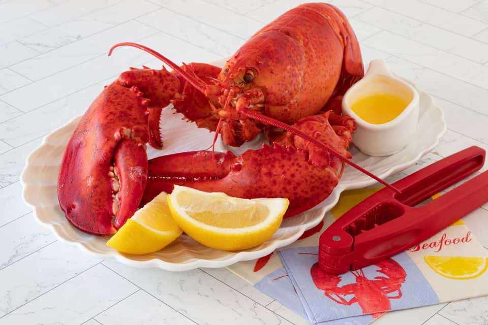 LOBSTER