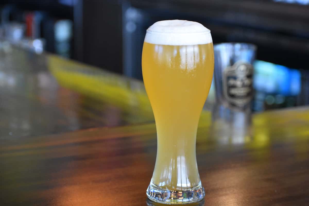 Mango Wheat Our Beer State 48 Brewery American Restaurant in AZ