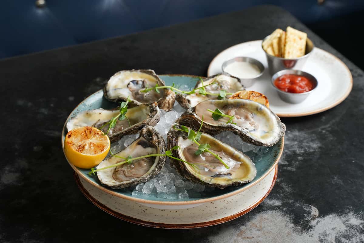 oysters