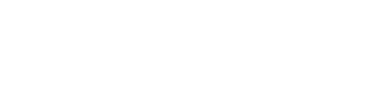 VHG Logo