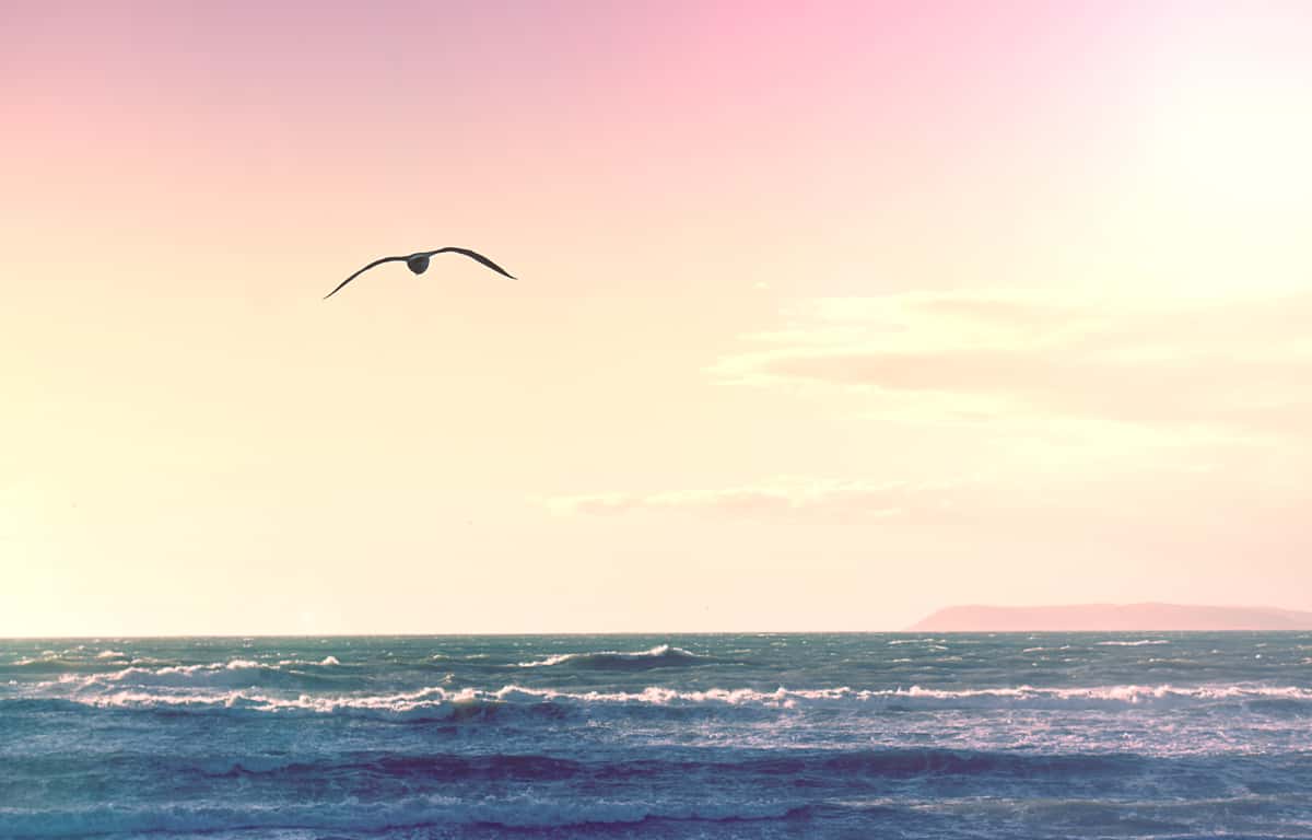 ocean