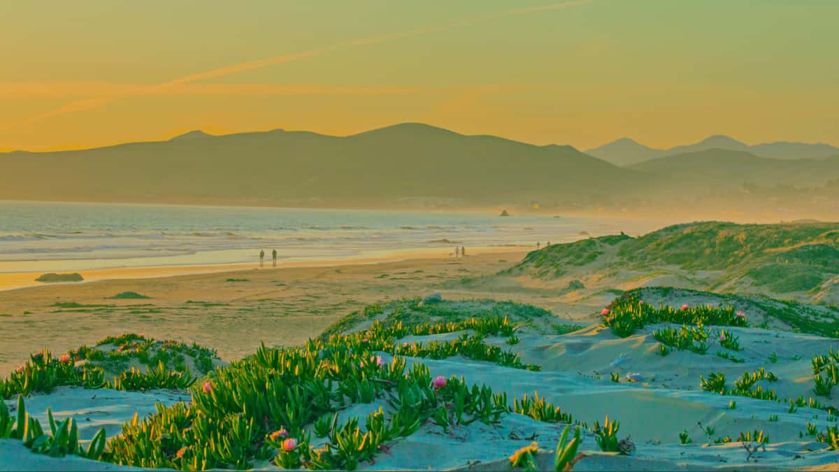 sand dunes