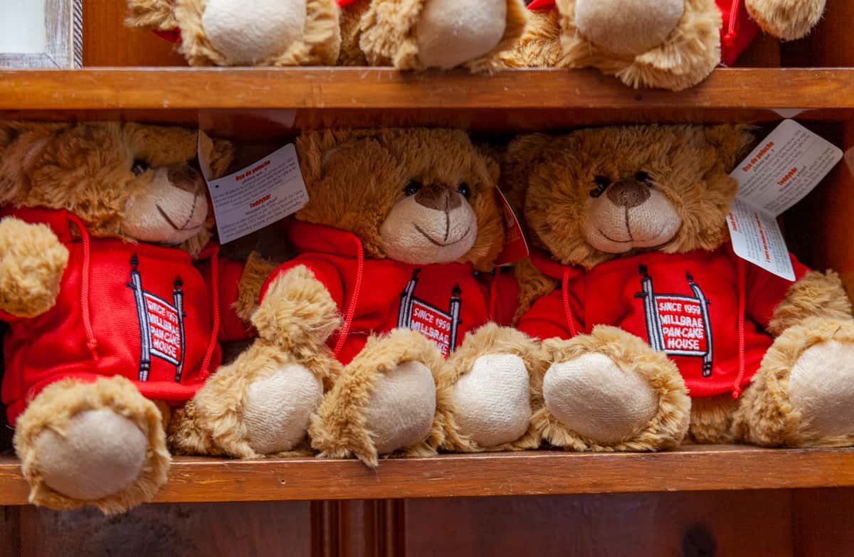 bears