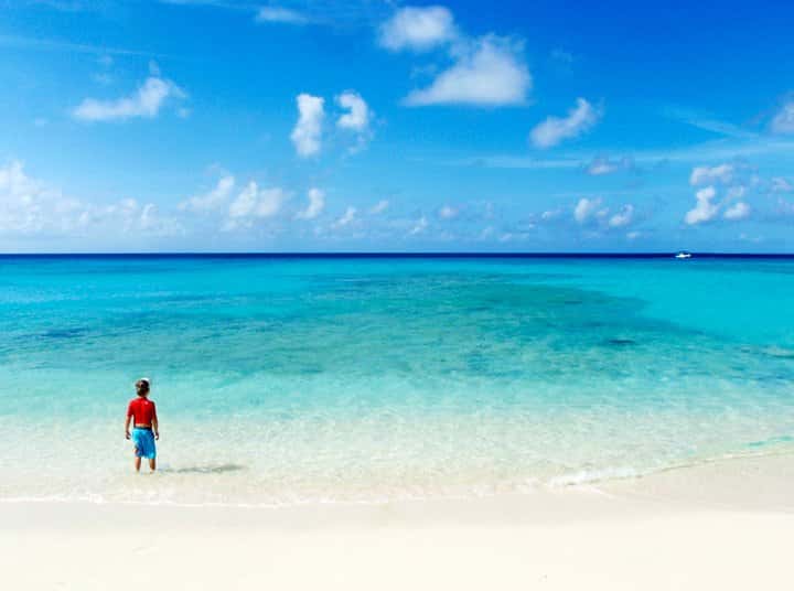 person looking at the ocean