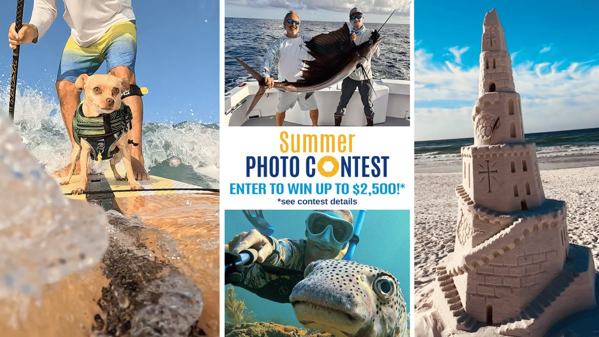 Summer Photo Contest