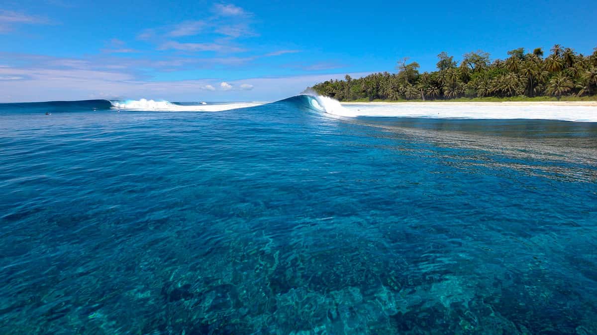 wave