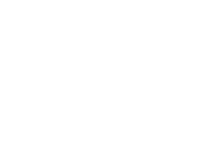Carnegie Pizza