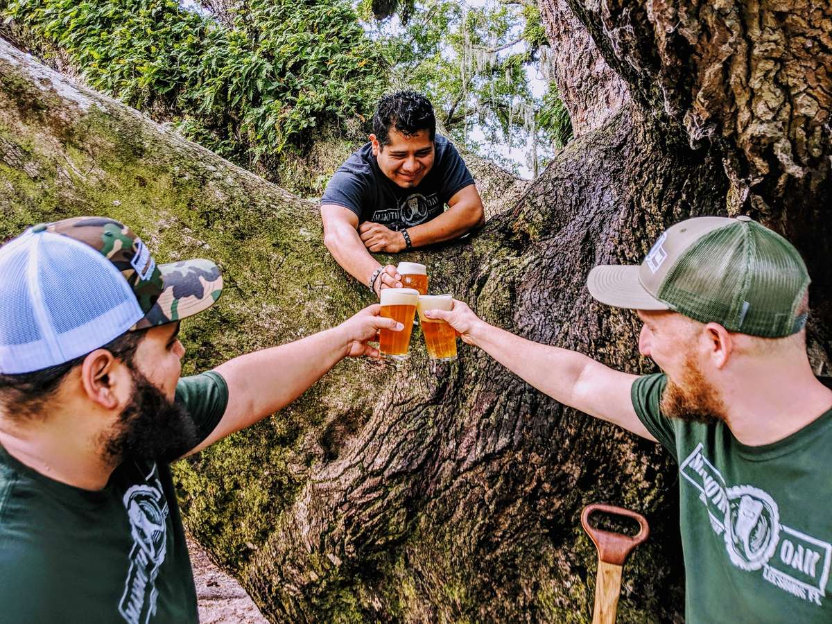 3 friends holding beers toasting