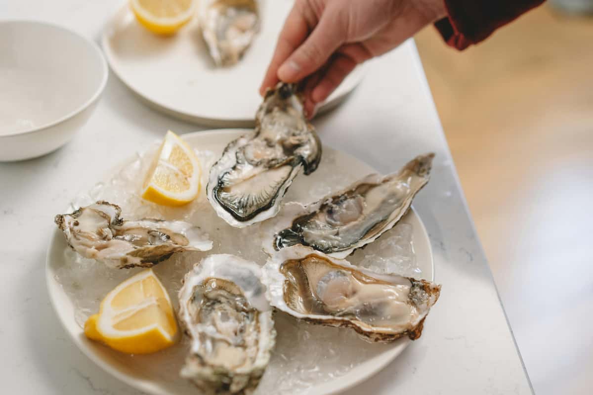 oyster