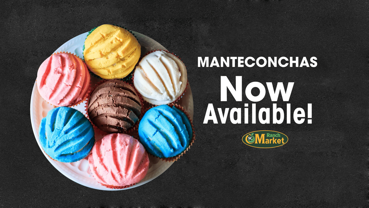 Manteconchas