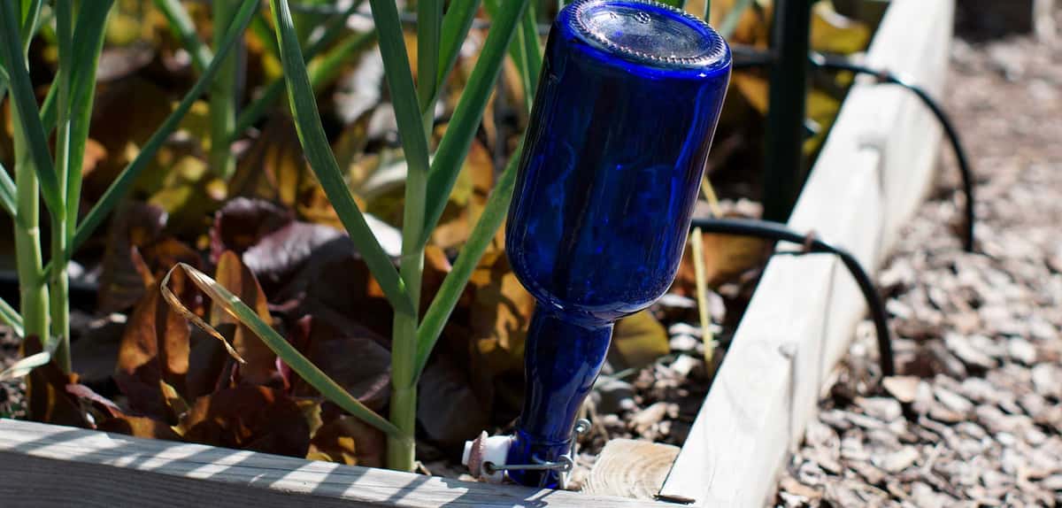 garden bottle