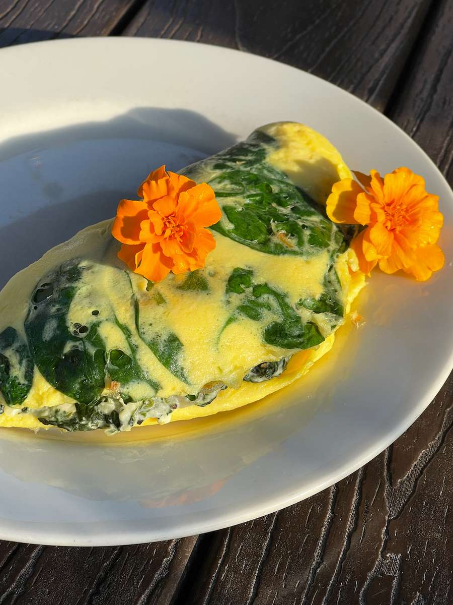 omelette with spinach, cream cheese, feta, and garden basil. Comes with a side and a biscuit.
