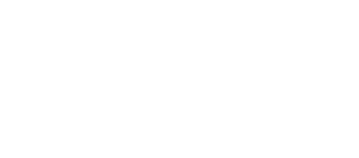 bold logo