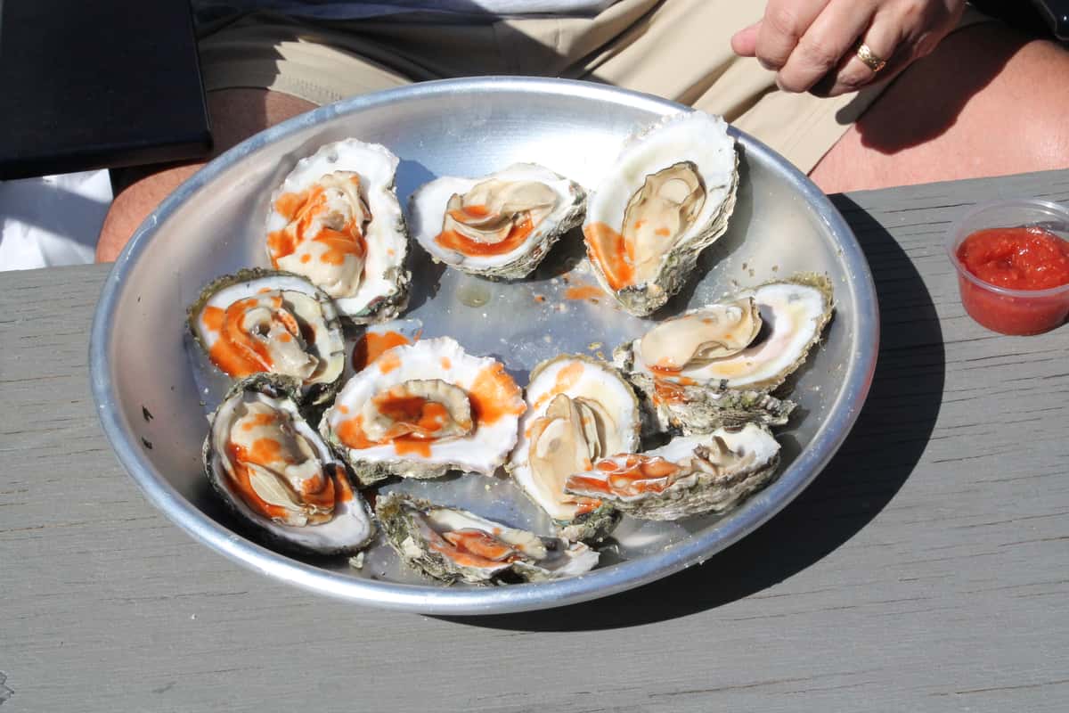 oysters