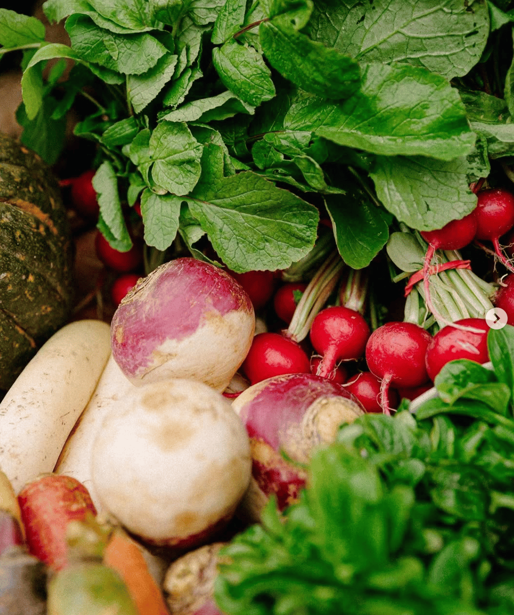 photos of veggies