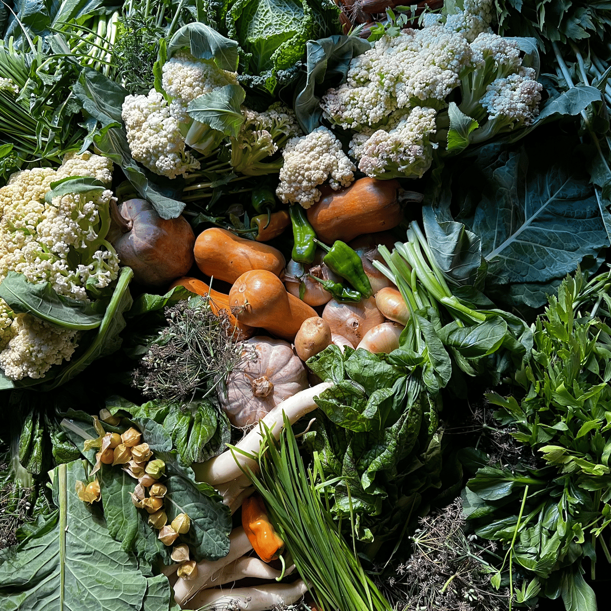 collage of vegetables