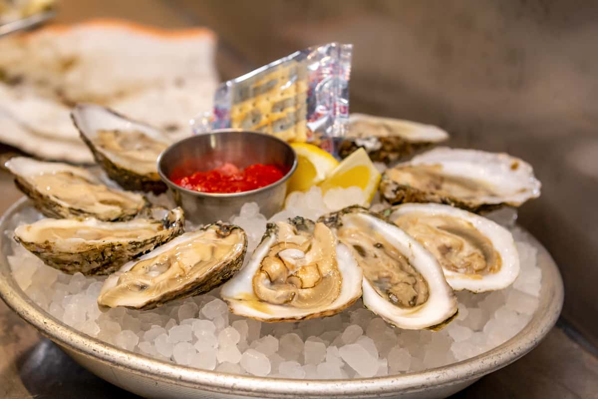 fresh oysters