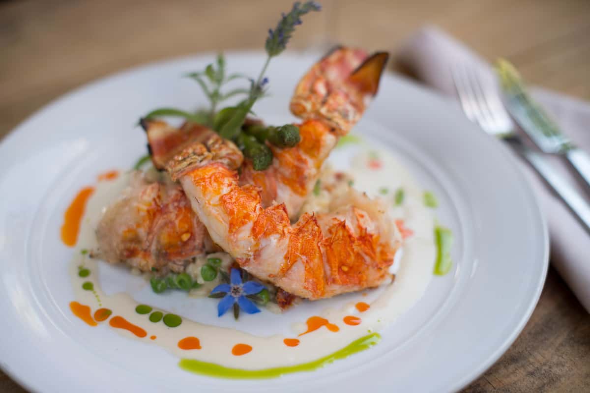 prawn