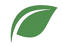 Oregano leaf icon