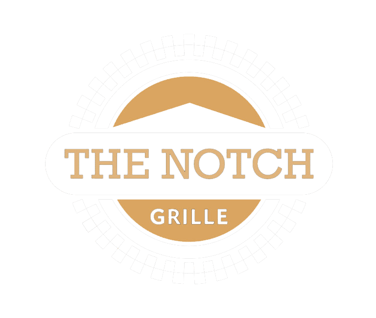 white notch logo