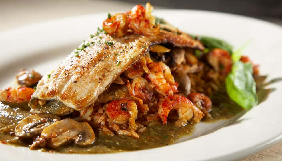 Stuffed Mountain Trout