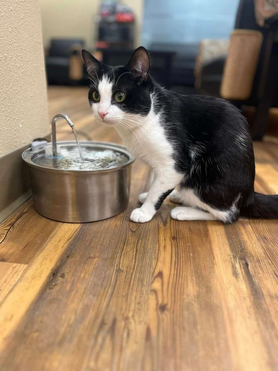 Thirsty