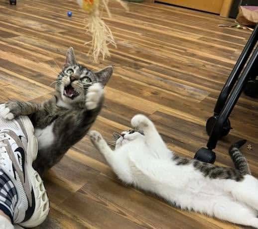 Playtime