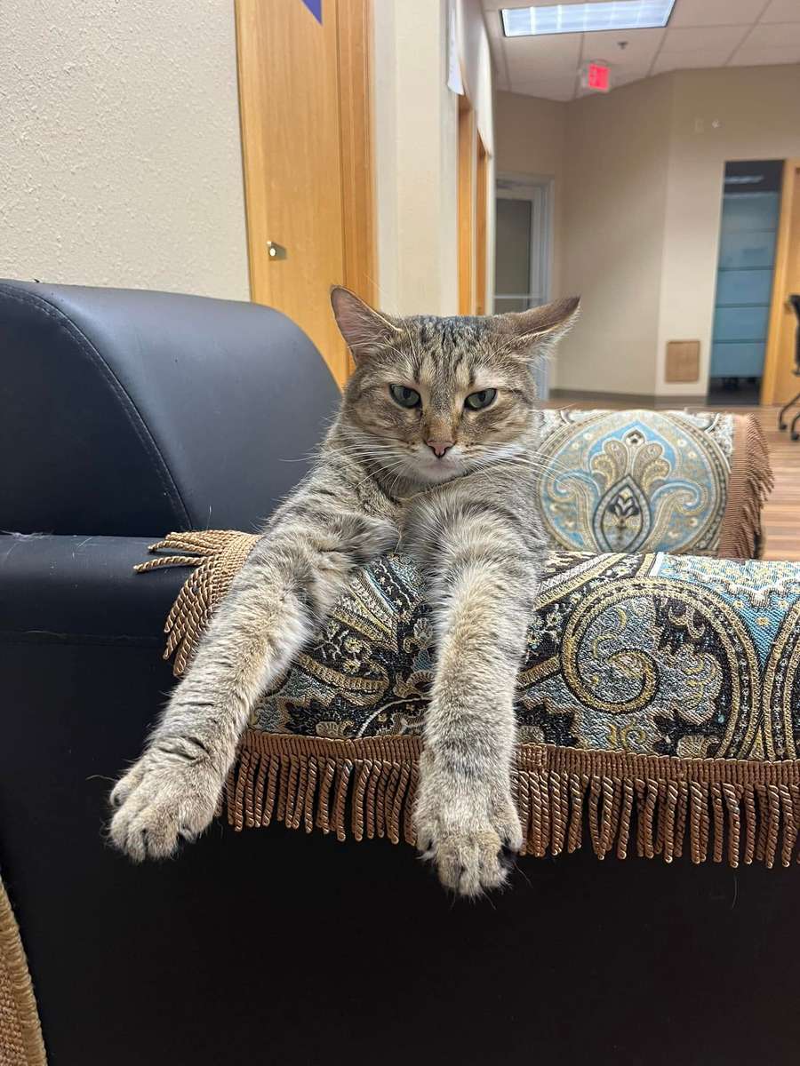 Relaxing