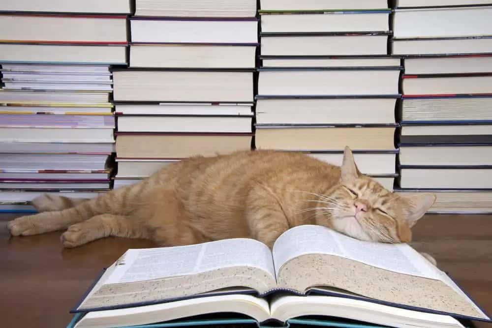 Book Club Test Image